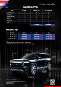 Bảng giá PPF 3M